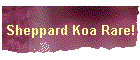 Sheppard Koa Rare!