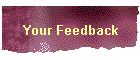 Your Feedback